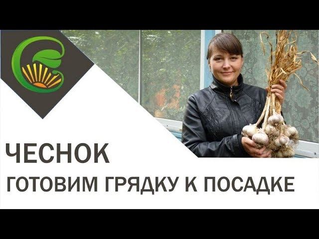 Чеснок - готовим грядку для посадки смотреть онлайн