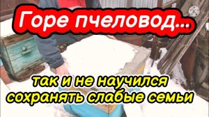 Горе пчеловод... Так и не научился сохранять слабые семьи зимой Осмотр погибших семей/Разбор гнезда