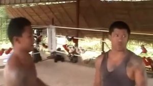 Полный курс муай тай