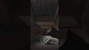 Капли приятно стучат по крыше. Асмр.