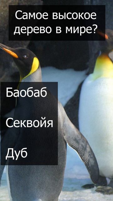 Интересные вопросы на тему животные и природа #викторина #знания #тест #тестнакругозор #угадай #фак