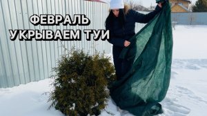 Защита от солнечных ожогов!