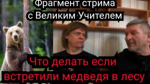 Что делать если вы встретили медведя в лесу. нарезки со стрима
