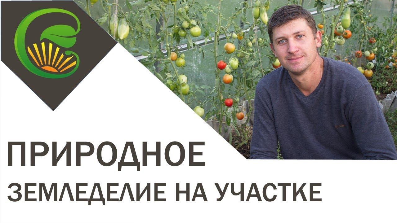 История применения природного земледелия на садовом участке. Гомель
