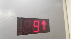 Электрический Лифт Щлз Ecomaks-(2016 Г.в ) 400/kg V=1m/s (148)