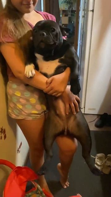 Ржака - Как Деми встречает гостей смотреть онлайн