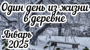 Один день из жизни в деревне Январь 2025
