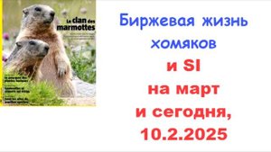 Si торговая стратегия (USDRUB) на март и сегодня 10.2.2025 (H1)