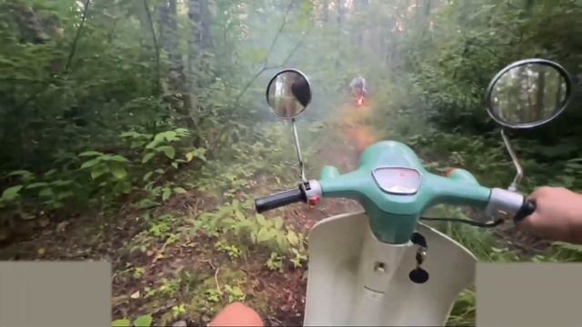 ДАНИЛА ГОРИЛЛА И ПАРАДЕЕВИЧ ПОТЕРЯЛИСЬ В ЛЕСУ | УГАРНЫЕ ПОКАТУШКИ В ЛЕСУ😂