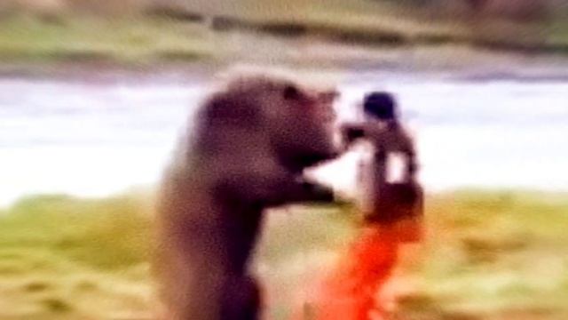 Человек дерётся с медведем смотреть онлайн