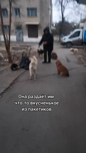 Добрая старушка🤍🙏#доброта#добрыедела#добрыелюди#животные#собаки#помощьживотным#человечность смотреть онлайн