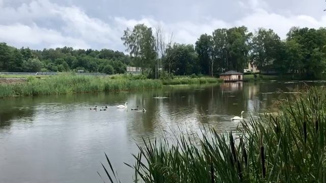 Вид на озеро п.Новосёлово(Багратионовский р-н) смотреть онлайн