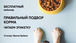 Как правильно выбрать сухой и влажный корм. Уметь читать этикетку