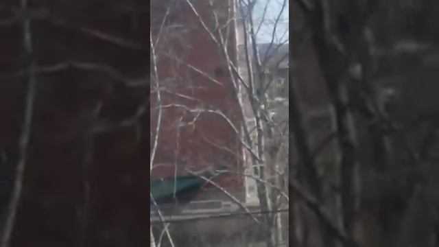 Моли друг. Ты. Дурак смотреть онлайн