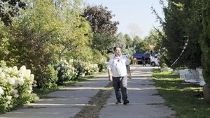 Главное в лечении