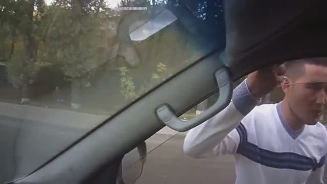 ОПАСНОЕ БЫДЛО НА ВСТРЕЧКЕ смотреть онлайн