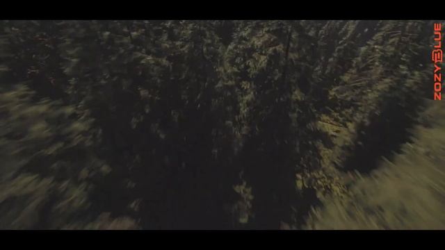 Kai Tracid - Conscious (Chris La Nost BOOTLEG Mix) (Music Video) смотреть онлайн