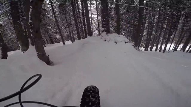 Fat Bike Emotion Freeride Bike