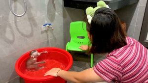 Monkey Puka is bathed and massaged by his Mother