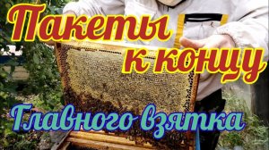 Пакеты к концу Главного взятка! Первый мед от пакетов