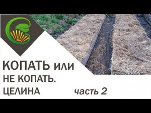 Копать или не копать  Часть 2  Целина