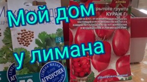 Мой дом у лимана. Александровка. Какие у нас семена? Как там Таня? Ейск. Купила новые шторы. Ремонт