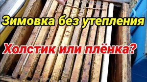 Зимовка без утепления на улице. Холстик или плёнка, что выбрать? Южный Урал
