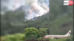 China Flight Crash | Chinese Eastern Airlines' Boeing 737, With 133 Onboard, Crashes on Mountain