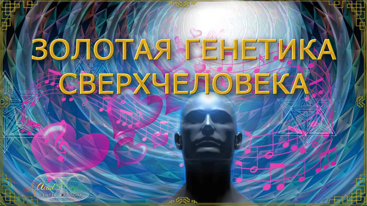 Как изменить свою жизнь. Укрепите связь с Изначальным Я. Анна Камаллая Хефорс
