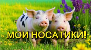 Мои Носатики!