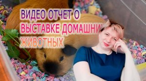 ВЫСТАВКА ЗООПАЛИТРА ПОСЕТИЛИ|ИСКАЛИ ШИНШИЛЛ