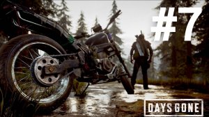 Days Gone прохождение #7