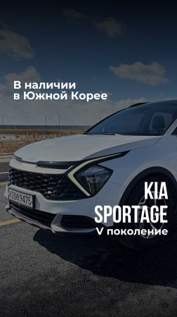 Kia Sportage V поколение в наличии в Южной Корее #Shorts