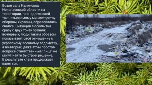 Николаев 11 февраля 2025 года