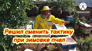 Решил сменить тактику при зимовке пчел. Зимовка пчел без сборки гнезда!
