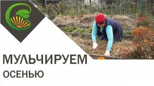 Осеннее мульчирование