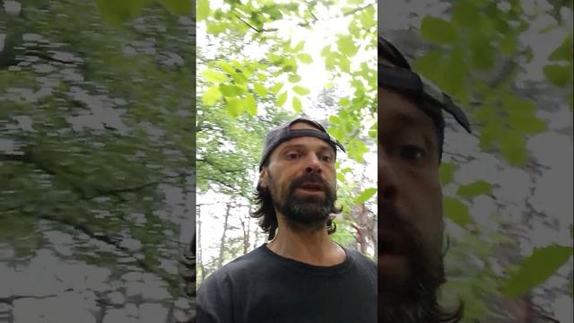 Здоров Богат Fitness для фигури сноровки фитнес тренировки для красоток молодежи детей зожников тож