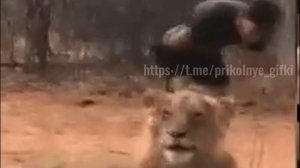 И тут я навалил кирпичей)