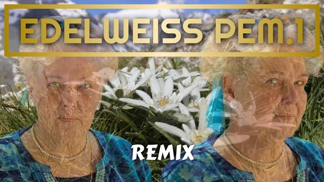 Egy kis virág - Edelweiss - Remix 2024 (feat. Gröschl Edit)