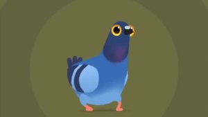 голубь танцует под песню про жывачку