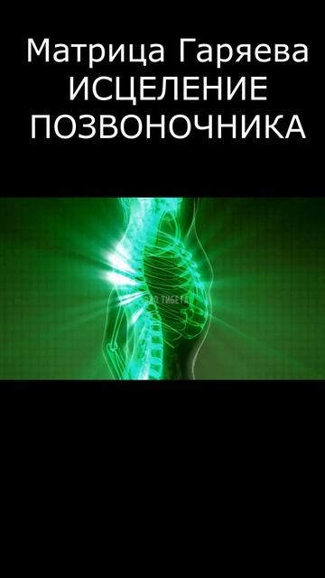 Матрица Гаряева - это уникальная система,  которая помогает восстановить и укрепить позвоночник.