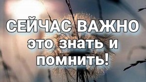 Мир внутри - Мир снаружи , ты управляешь Миром начиная с Себя #осознанность#мир#жизнь