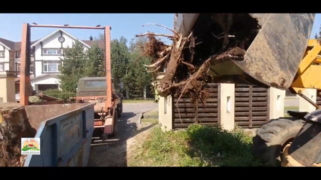 Корчевка пней, погрузка, вывоз, черновая планировка участка 12 соток