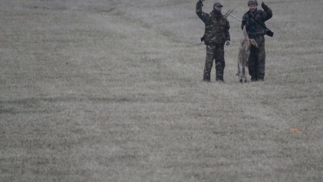 Arkansas coyote hunt смотреть онлайн