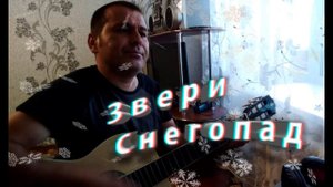 Звери-снегопад (COVER by Александр Спирин)