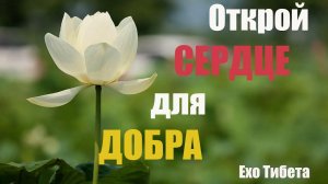 Открой Сердце для Добра и Измените Свою Жизнь