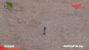 ПЕТАРДЫ КОМАНДА КОРСАРА МОРГАНА-5 РС0525