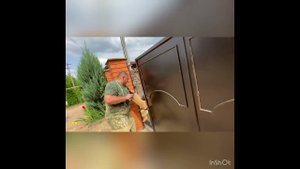 Охрана территории! Немецкая овчарка 10 месяцев Мухтар!