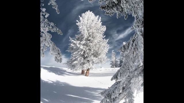 11 февраля. Что несёт этот день. Приметы. Сны. Молитва Игнатию Богоносцу