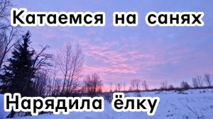 Катаемся на санях ❄️ Нарядила ёлку